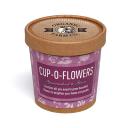 Image of Cup-O-Flowers
